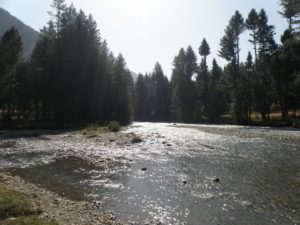 Kumrat Valley – The Last True Forest of Pakistan