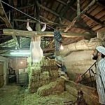 dabbethepossessionscene