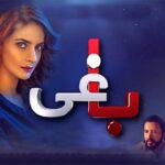 baaghi