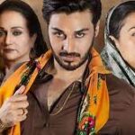 udaari