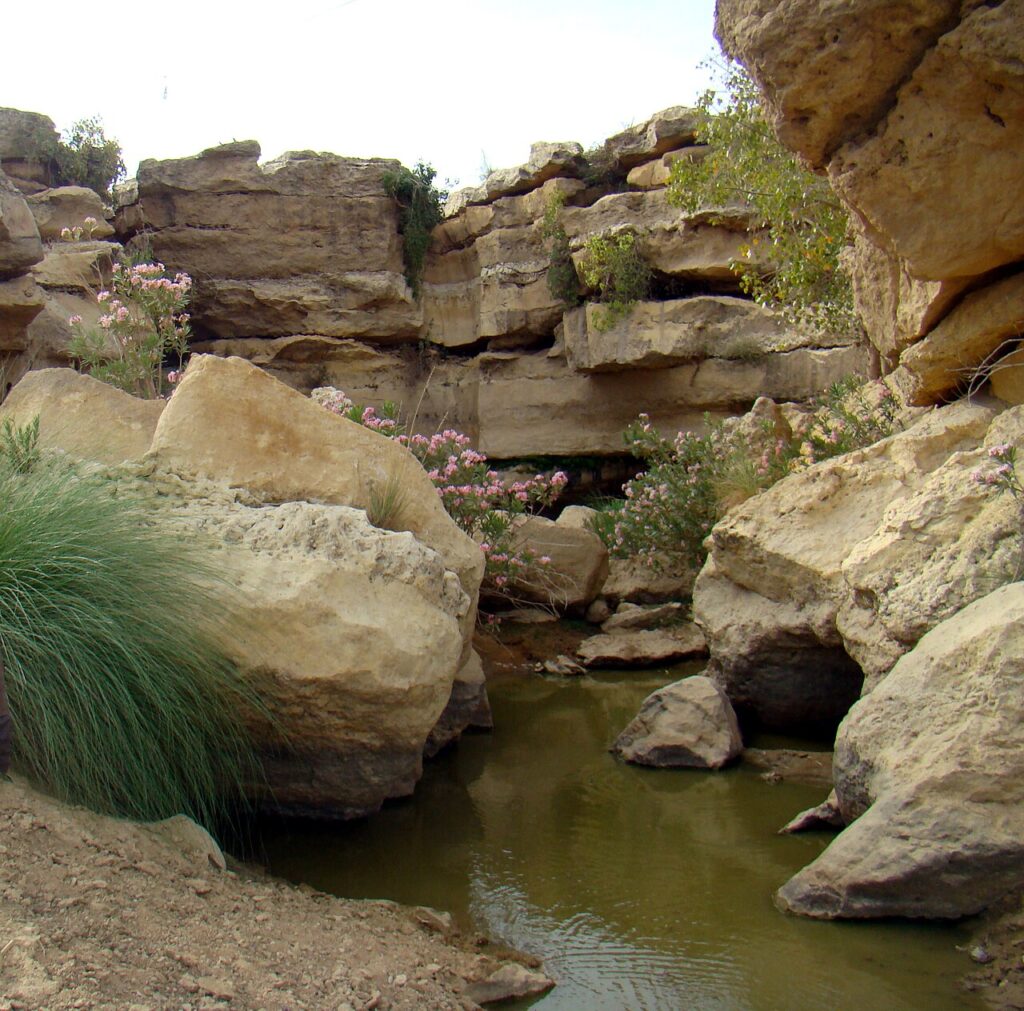 A spring in Kirthar National Park, Sindh