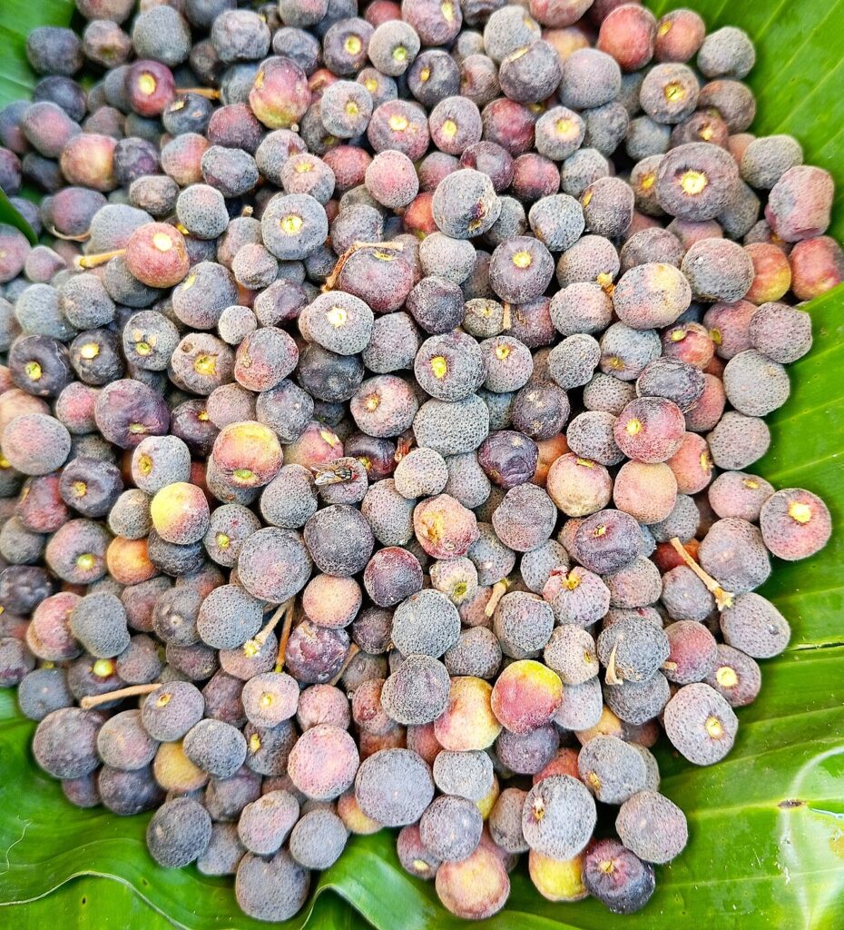 Falsa berries