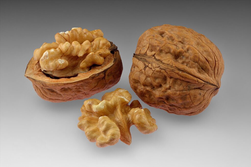 Whole walnuts and a cracked walnut showing the kernel